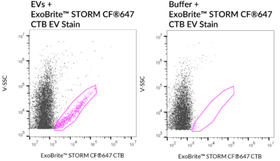 ExoBrite™ STORM CTB EV Staining Kits - Image 4