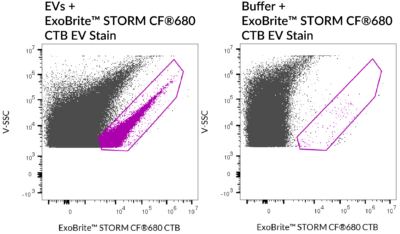 ExoBrite™ STORM CTB EV Staining Kits - Image 5