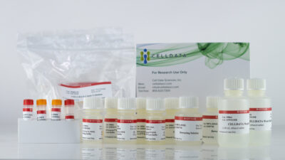 CELLDATA DNAstorm™/RNAstorm™ 2.0 Combination Kit