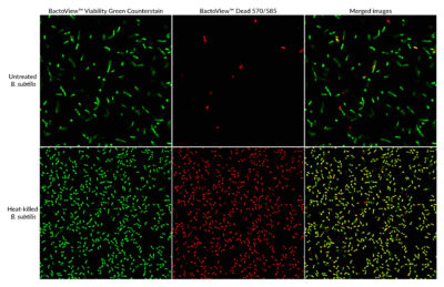 BactoView™ Viability Kits - Image 2