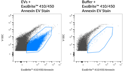 ExoBrite™ Annexin EV Staining Kits - Image 4