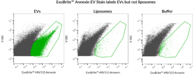 ExoBrite™ Annexin EV Staining Kits - Image 3