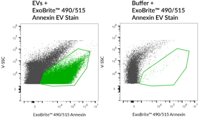 ExoBrite™ Annexin EV Staining Kits - Image 5