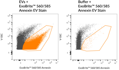 ExoBrite™ Annexin EV Staining Kits - Image 6