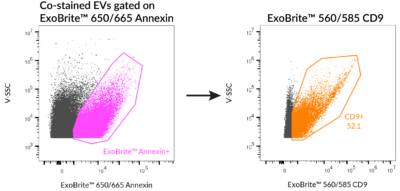 ExoBrite™ Annexin EV Staining Kits - Image 8