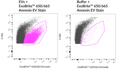 ExoBrite™ Annexin EV Staining Kits - Image 7