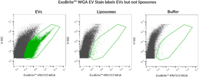 ExoBrite™ EV Surface Stain Sampler Kit, Green - Image 6