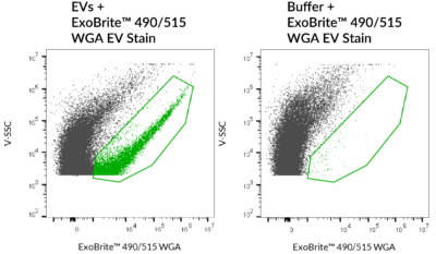 ExoBrite™ EV Surface Stain Sampler Kit, Green - Image 2