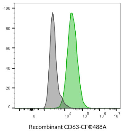 CD63 Recombinant Monoclonal Mouse Antibody (2304.63) - Biotium Choice <svg class="svgicon svg-verified"><use xlink:href="#svg-verified"></use></svg> - Image 3