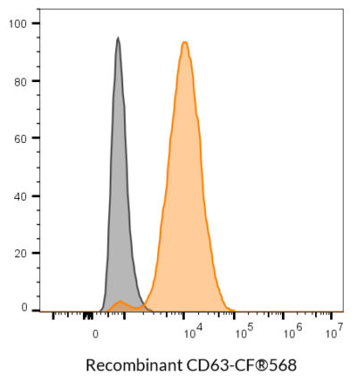 CD63 Recombinant Monoclonal Mouse Antibody (2304.63) - Biotium Choice <svg class="svgicon svg-verified"><use xlink:href="#svg-verified"></use></svg> - Image 4