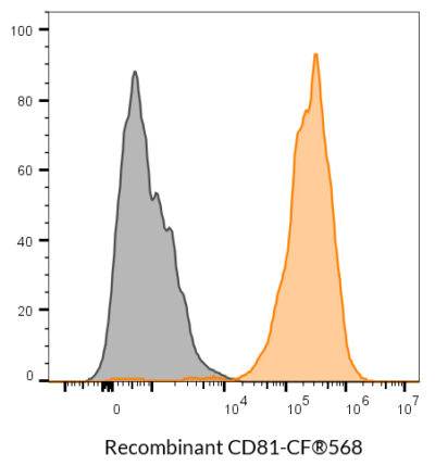 CD81 Recombinant Monoclonal Mouse Antibody (2304.81) - Biotium Choice <svg class="svgicon svg-verified"><use xlink:href="#svg-verified"></use></svg> - Image 6