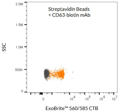 ExoBrite™ Streptavidin Magnetic Beads - Image 3