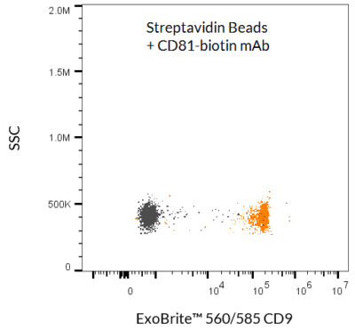 ExoBrite™ Streptavidin Magnetic Beads - Image 4