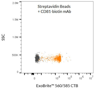 ExoBrite™ Streptavidin Magnetic Beads - Image 5