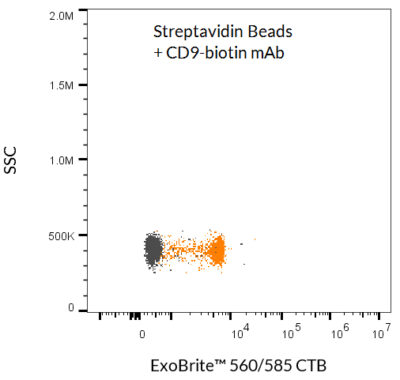 ExoBrite™ Streptavidin Magnetic Beads - Image 2