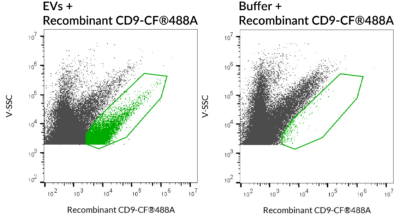 CD9 Recombinant Monoclonal Mouse Antibody (2310.9) - Biotium Choice <svg class="svgicon svg-verified"><use xlink:href="#svg-verified"></use></svg> - Image 4