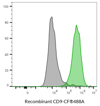 CD9 Recombinant Monoclonal Mouse Antibody (2310.9) - Biotium Choice <svg class="svgicon svg-verified"><use xlink:href="#svg-verified"></use></svg> - Image 6