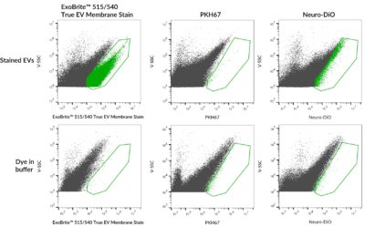 ExoBrite™ True EV Membrane Stains - Image 6