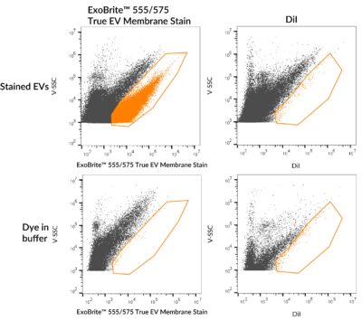 ExoBrite™ True EV Membrane Stains - Image 7