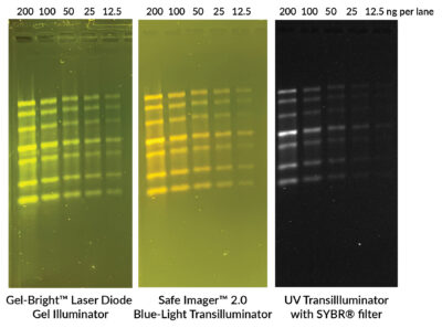 EMBER™ Ultra RNA Gel Kit - Image 2