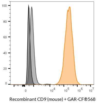 CD9 (Mouse) Recombinant Monoclonal Rat Antibody (24MS04.9) – Biotium Choice <svg class="svgicon svg-verified"><use xlink:href="#svg-verified"></use></svg> - Image 4