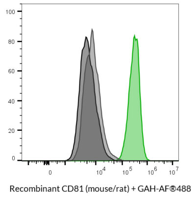 CD81 (Mouse/Rat) Recombinant Monoclonal Hamster Antibody (24MS04.81) – Biotium Choice <svg class="svgicon svg-verified"><use xlink:href="#svg-verified"></use></svg> - Image 3