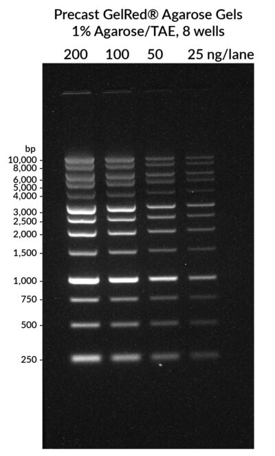 Precast GelRed® Agarose Gels, 1% Agarose/TAE<svg class="svgicon svg-earthfriendly"><use xlink:href="#svg-earthfriendly"></use></svg> - Image 2