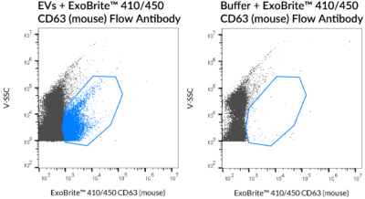 ExoBrite™ CD63 (Mouse) Flow Antibody - Image 2