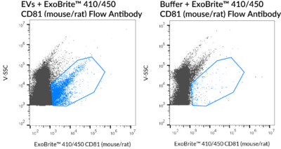 ExoBrite™ CD81 (Mouse/Rat) Flow Antibody - Image 2