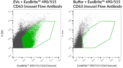 ExoBrite™ CD63 (Mouse) Flow Antibody - Image 3