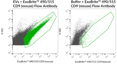 ExoBrite™ CD9 (Mouse) Flow Antibody - Image 3