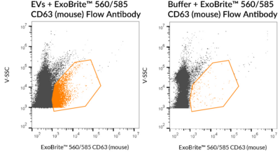 ExoBrite™ CD63 (Mouse) Flow Antibody - Image 4