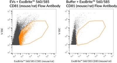 ExoBrite™ CD81 (Mouse/Rat) Flow Antibody - Image 4