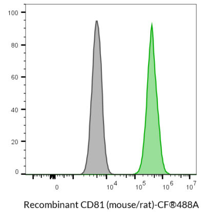 CD81 (Mouse/Rat) Recombinant Monoclonal Hamster Antibody (24MS04.81) – Biotium Choice <svg class="svgicon svg-verified"><use xlink:href="#svg-verified"></use></svg> - Image 4