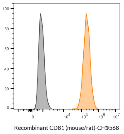 CD81 (Mouse/Rat) Recombinant Monoclonal Hamster Antibody (24MS04.81) – Biotium Choice <svg class="svgicon svg-verified"><use xlink:href="#svg-verified"></use></svg> - Image 5