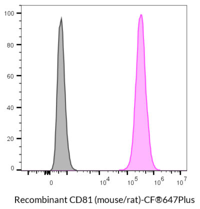 CD81 (Mouse/Rat) Recombinant Monoclonal Hamster Antibody (24MS04.81) – Biotium Choice <svg class="svgicon svg-verified"><use xlink:href="#svg-verified"></use></svg> - Image 6