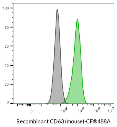 CD63 (Mouse) Recombinant Monoclonal Rat Antibody (24MS05.63) - Biotium Choice <svg class="svgicon svg-verified"><use xlink:href="#svg-verified"></use></svg> - Image 3