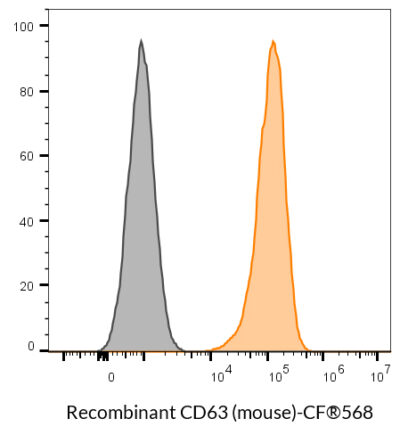 CD63 (Mouse) Recombinant Monoclonal Rat Antibody (24MS05.63) - Biotium Choice <svg class="svgicon svg-verified"><use xlink:href="#svg-verified"></use></svg> - Image 4