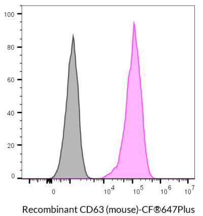 CD63 (Mouse) Recombinant Monoclonal Rat Antibody (24MS05.63) - Biotium Choice <svg class="svgicon svg-verified"><use xlink:href="#svg-verified"></use></svg> - Image 6