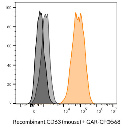 CD63 (Mouse) Recombinant Monoclonal Rat Antibody (24MS05.63) - Biotium Choice <svg class="svgicon svg-verified"><use xlink:href="#svg-verified"></use></svg> - Image 5