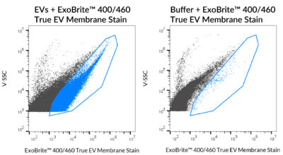 ExoBrite™ True EV Membrane Stains - Image 2