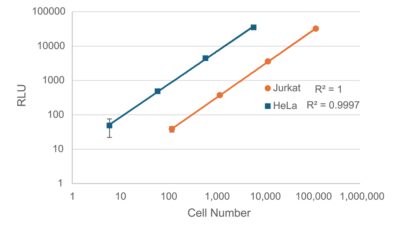 Steady-ATP™ HTS Viability Assay Kit - Image 4