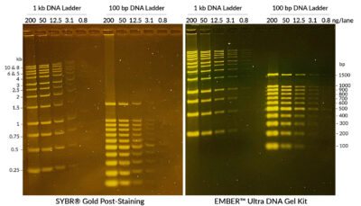 EMBER™ Ultra DNA Gel Kit - Image 2