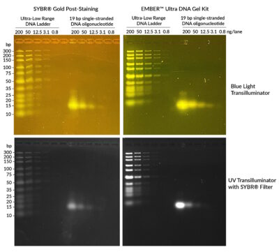 EMBER™ Ultra DNA Gel Kit - Image 3