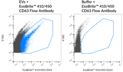 ExoBrite™ CD63 Flow Antibody - Image 2