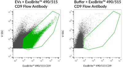 ExoBrite™ CD9 Flow Antibody - Image 3