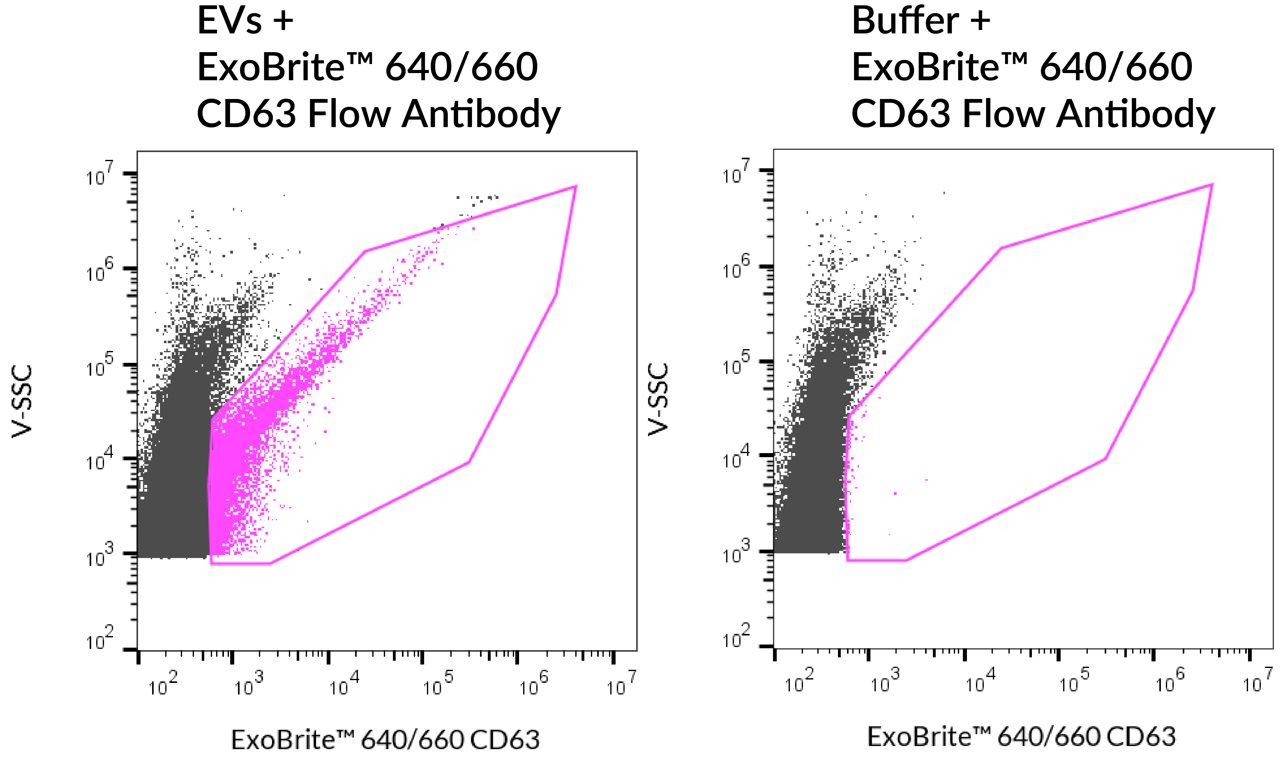 ExoBrite™ CD63 Flow Antibody - Image 6