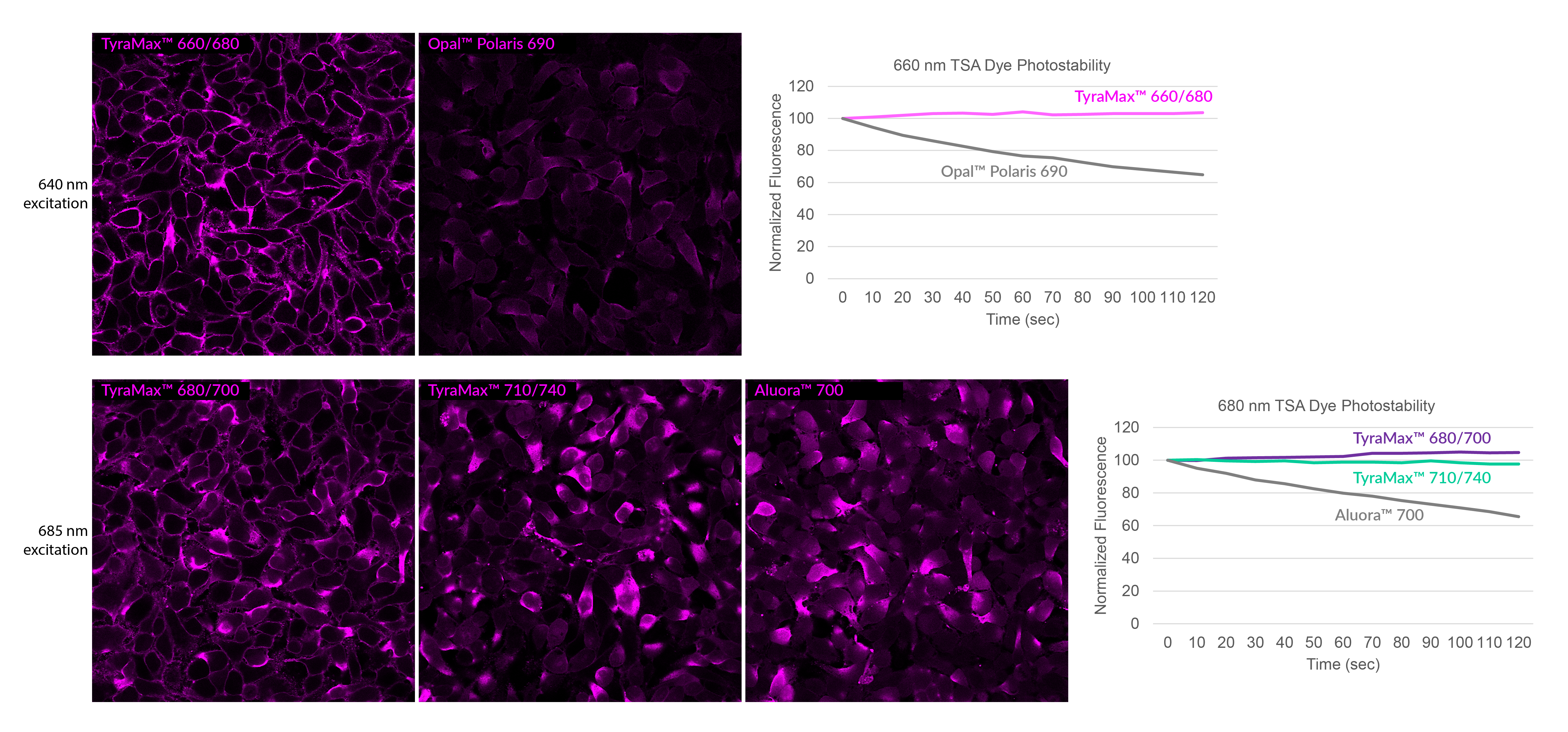 TyraMax™ Amplification Dyes and Kits - Image 5