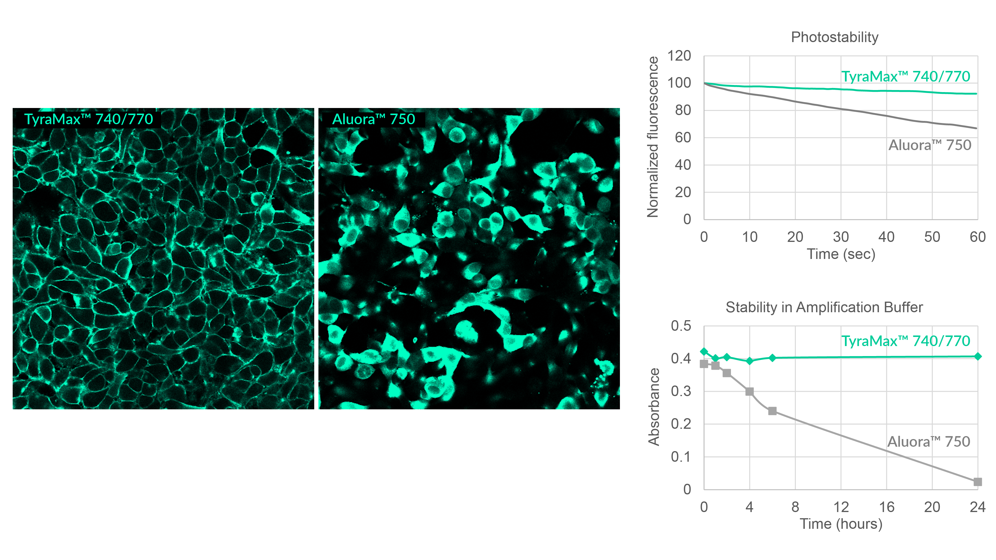 TyraMax™ Amplification Dyes and Kits - Image 6